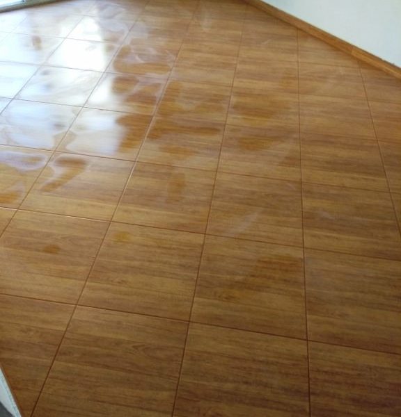 IMG_20180825_110231_576x768