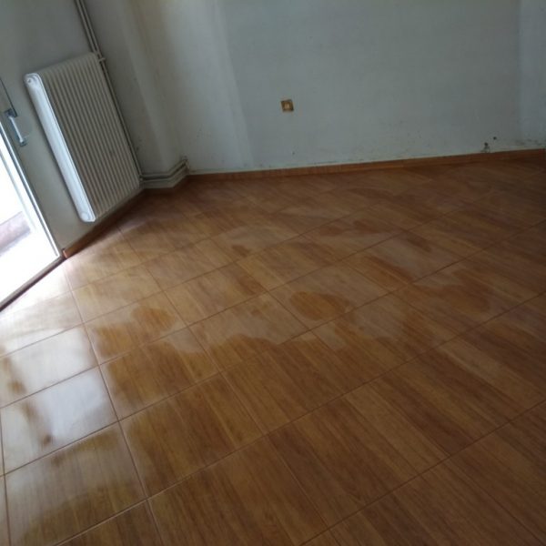 IMG_20181009_112930_1024x768